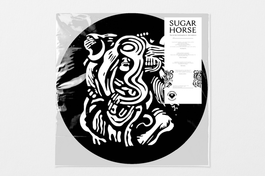 Sugar Horse - Truth Or Consequences, New Mexico