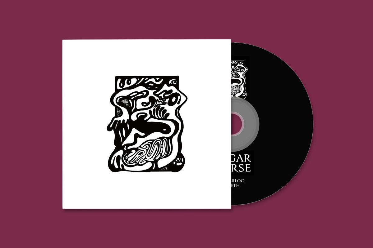 Sugar Horse - Waterloo Teeth