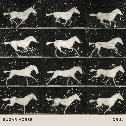 Sugar Horse - DRUJ / Radio Cash-Ins